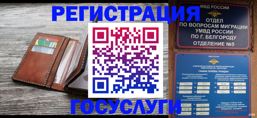 временная регистрация гарантия в Великих Луках